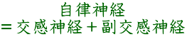 自律神経 ＝交感神経＋副交感神経