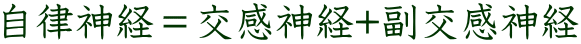 自律神経＝交感神経+副交感神経